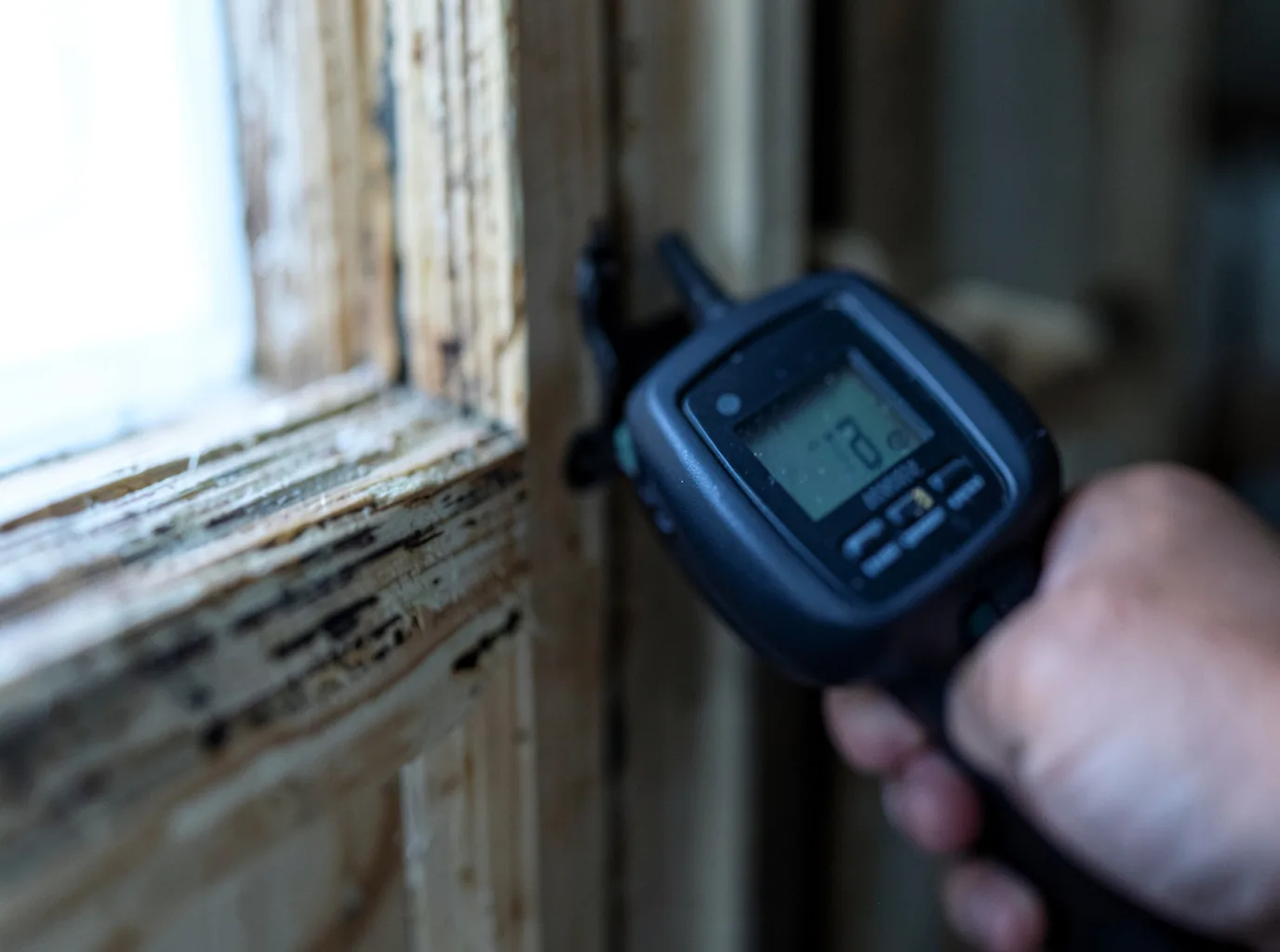 Moisture Inspection And Documentation in Hilton, NY